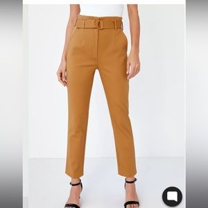 Black Babaton Pants (Aritzia)